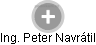  Peter N. - Vizualizace  propojení osoby a firem v obchodním rejstříku