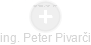 Peter Pivarči - Vizualizace  propojení osoby a firem v obchodním rejstříku