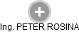 PETER ROSINA - Vizualizace  propojení osoby a firem v obchodním rejstříku