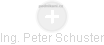Peter Schuster - Vizualizace  propojení osoby a firem v obchodním rejstříku