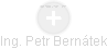Petr Bernátek - Vizualizace  propojení osoby a firem v obchodním rejstříku