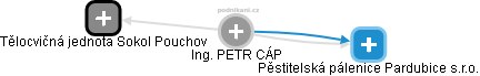 PETR CÁP - Vizualizace  propojení osoby a firem v obchodním rejstříku