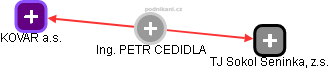 PETR CEDIDLA - Vizualizace  propojení osoby a firem v obchodním rejstříku