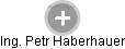 Petr Haberhauer - Vizualizace  propojení osoby a firem v obchodním rejstříku