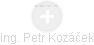 Petr Kozáček - Vizualizace  propojení osoby a firem v obchodním rejstříku