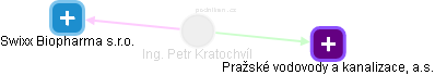 Petr Kratochvíl - Vizualizace  propojení osoby a firem v obchodním rejstříku