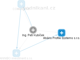Petr Kubíček - Vizualizace  propojení osoby a firem v obchodním rejstříku