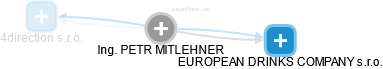 PETR MITLEHNER - Vizualizace  propojení osoby a firem v obchodním rejstříku