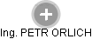PETR ORLICH - Vizualizace  propojení osoby a firem v obchodním rejstříku