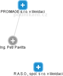 Petr Pavlita - Vizualizace  propojení osoby a firem v obchodním rejstříku