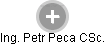 Petr Peca - Vizualizace  propojení osoby a firem v obchodním rejstříku