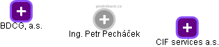 Petr Pecháček - Vizualizace  propojení osoby a firem v obchodním rejstříku