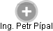 Petr Pípal - Vizualizace  propojení osoby a firem v obchodním rejstříku