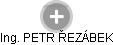 PETR ŘEZÁBEK - Vizualizace  propojení osoby a firem v obchodním rejstříku