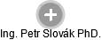 Petr Slovák - Vizualizace  propojení osoby a firem v obchodním rejstříku