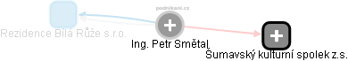 Petr Smětal - Vizualizace  propojení osoby a firem v obchodním rejstříku