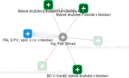 Petr Strnad - Vizualizace  propojení osoby a firem v obchodním rejstříku