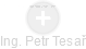 PETR TESAŔ - Vizualizace  propojení osoby a firem v obchodním rejstříku