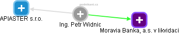 Petr Widnic - Vizualizace  propojení osoby a firem v obchodním rejstříku