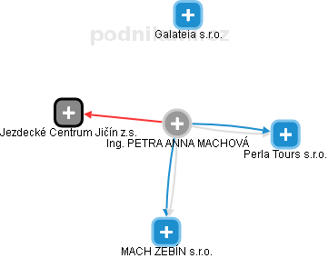 PETRA ANNA MACHOVÁ - Vizualizace  propojení osoby a firem v obchodním rejstříku