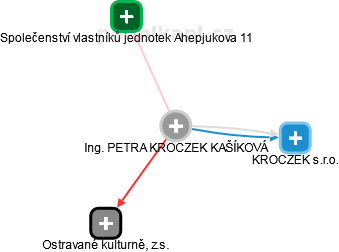 PETRA KROCZEK KAŠÍKOVÁ - Vizualizace  propojení osoby a firem v obchodním rejstříku