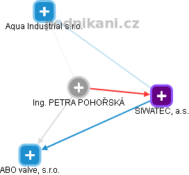 PETRA POHOŘSKÁ - Vizualizace  propojení osoby a firem v obchodním rejstříku