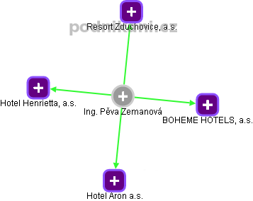 Pěva Zemanová - Vizualizace  propojení osoby a firem v obchodním rejstříku