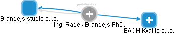 Radek Brandejs - Vizualizace  propojení osoby a firem v obchodním rejstříku