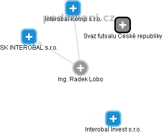 Radek Lobo - Vizualizace  propojení osoby a firem v obchodním rejstříku
