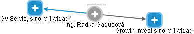 Radka Gadušová - Vizualizace  propojení osoby a firem v obchodním rejstříku