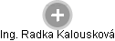 Radka Kalousková - Vizualizace  propojení osoby a firem v obchodním rejstříku