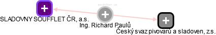 Richard Paulů - Vizualizace  propojení osoby a firem v obchodním rejstříku