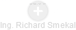  Richard S. - Vizualizace  propojení osoby a firem v obchodním rejstříku