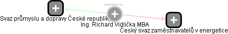 Richard Vidlička - Vizualizace  propojení osoby a firem v obchodním rejstříku