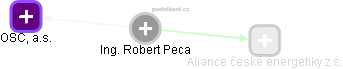 Robert Peca - Vizualizace  propojení osoby a firem v obchodním rejstříku