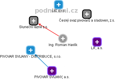 Roman Havlík - Vizualizace  propojení osoby a firem v obchodním rejstříku