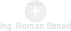  Roman S. - Vizualizace  propojení osoby a firem v obchodním rejstříku