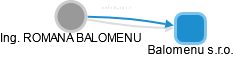 ROMANA BALOMENU - Vizualizace  propojení osoby a firem v obchodním rejstříku
