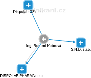 Rommi Kobrová - Vizualizace  propojení osoby a firem v obchodním rejstříku
