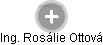  Rosálie O. - Vizualizace  propojení osoby a firem v obchodním rejstříku