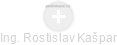  Rostislav K. - Vizualizace  propojení osoby a firem v obchodním rejstříku