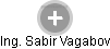 Sabir Vagabov - Vizualizace  propojení osoby a firem v obchodním rejstříku