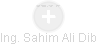 Sahim Ali Dib - Vizualizace  propojení osoby a firem v obchodním rejstříku