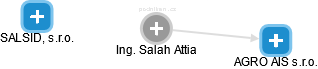 Salah Attia - Vizualizace  propojení osoby a firem v obchodním rejstříku