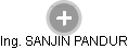 SANJIN PANDUR - Vizualizace  propojení osoby a firem v obchodním rejstříku