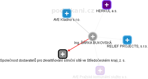 ŠÁRKA BUKOVSKÁ - Vizualizace  propojení osoby a firem v obchodním rejstříku