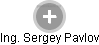 Sergey Pavlov - Vizualizace  propojení osoby a firem v obchodním rejstříku