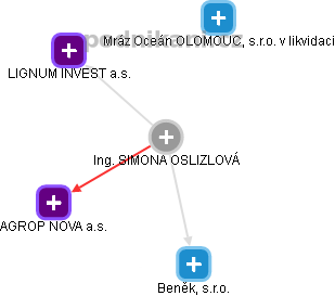 SIMONA OSLIZLOVÁ - Vizualizace  propojení osoby a firem v obchodním rejstříku