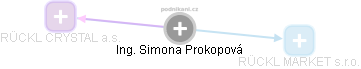 Simona Prokopová - Vizualizace  propojení osoby a firem v obchodním rejstříku