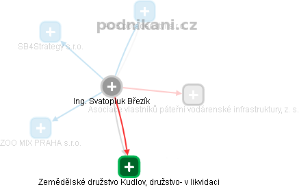 Svatopluk Březík - Vizualizace  propojení osoby a firem v obchodním rejstříku